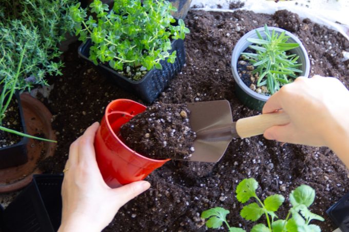 環境と健康に寄り添う“エコガーデン”という暮らし方