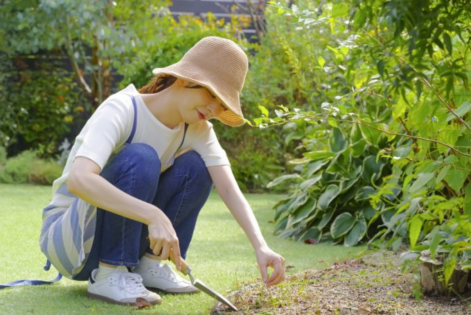 庭は「心を癒やす病院」? ―園芸療法がもたらす4つのポジティブな変化